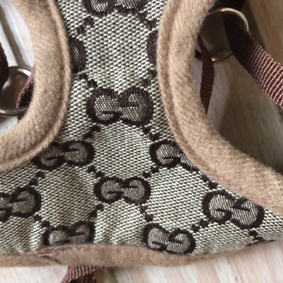 Extra Small Dog Harness and Leash set - Picture 3 of 16